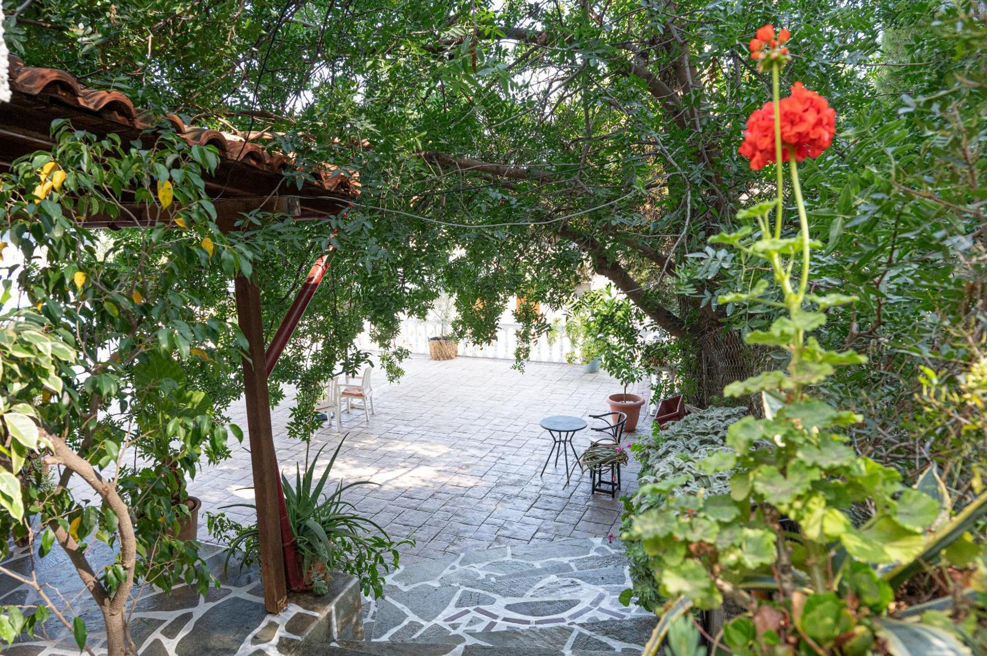 Lions 2 Studios & Apartments, Poros Island. Poros Town Esterno foto